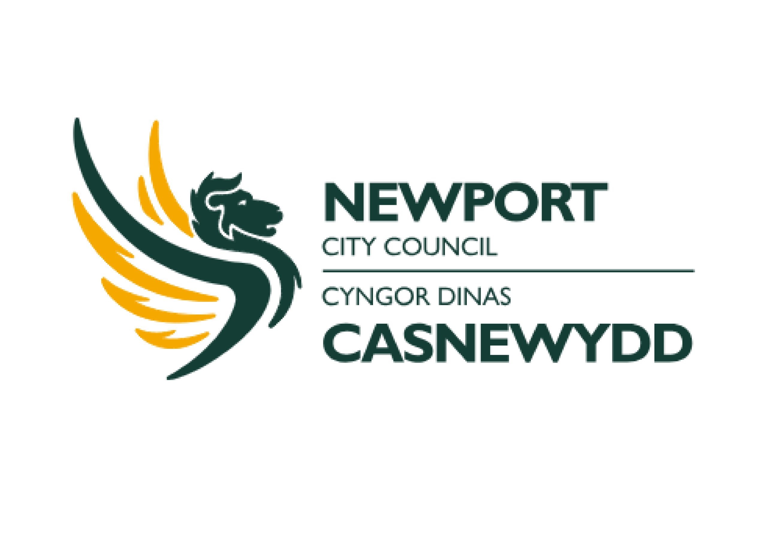 NAEE_SupportPartners_2024-NewportCityCouncil