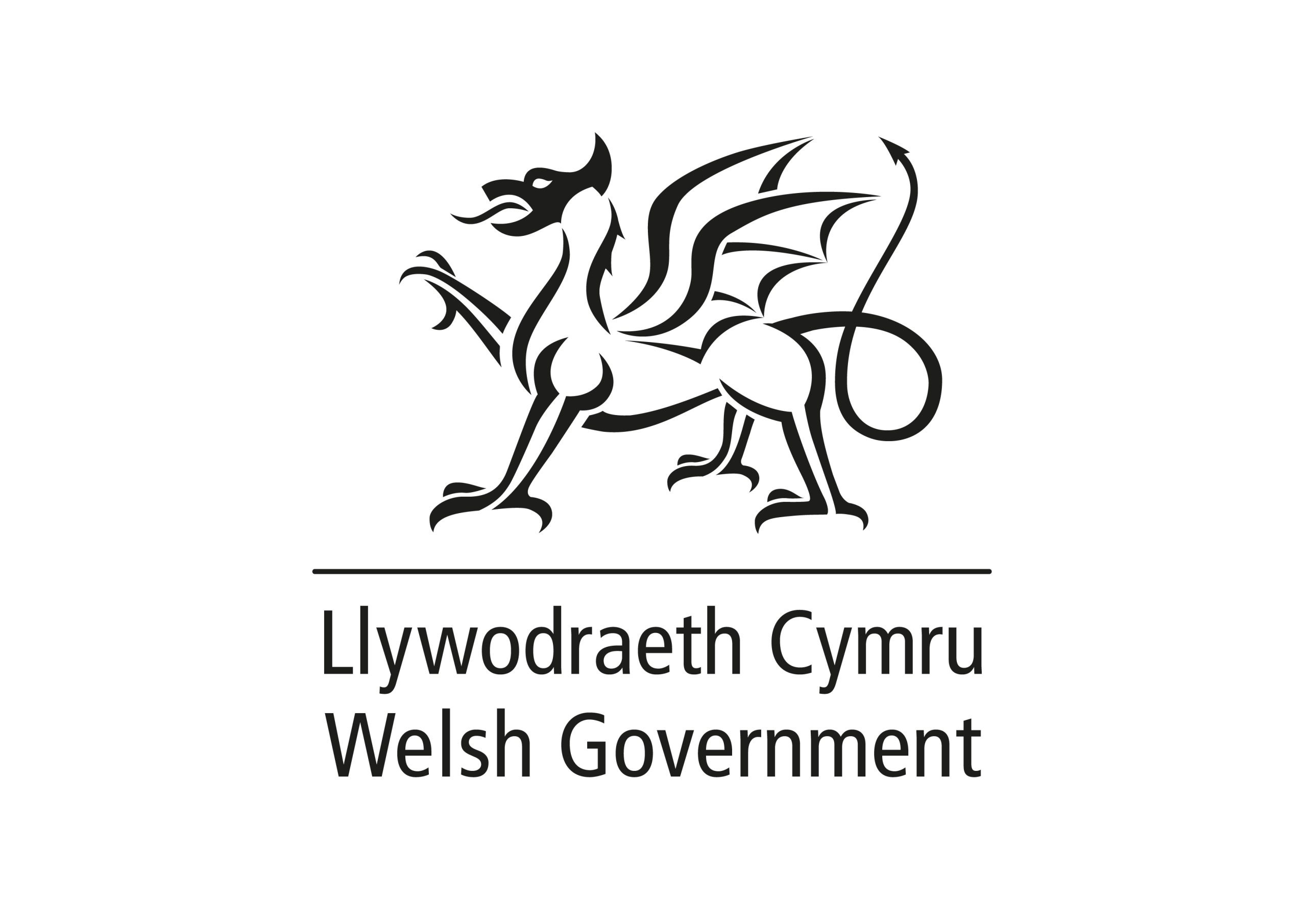 NAEE_SupportPartners_2024-WelshGovernment